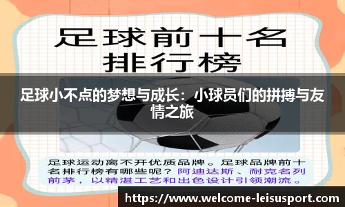 足球小不点的梦想与成长：小球员们的拼搏与友情之旅